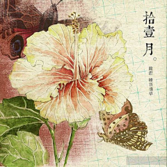 兜小兵采集到画画