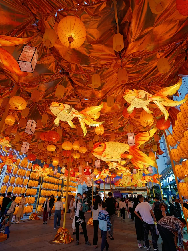 "年味"‼️广州首個新年鱼灯展~太美了吧