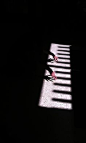 shadow piano  Love this idea! Great use of shadows and light!  #photography #shadows #hands