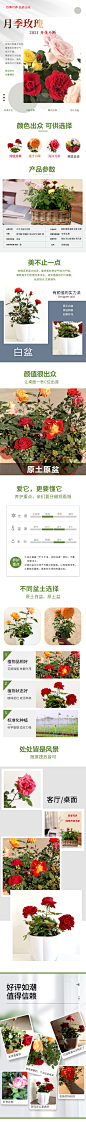 电商花卉绿植详情页