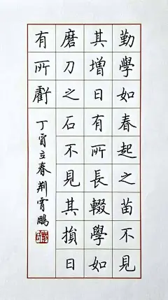 十位当代硬笔书法家的楷书，谁能代表硬笔书坛最高水平？