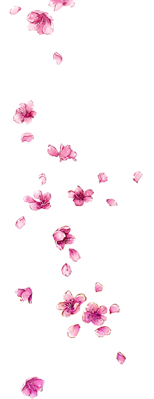 calla1213采集到【素材】花瓣、漂浮PNG
