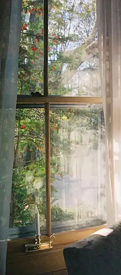 壁纸