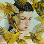 Meghan Howland 梦幻般的油画欣赏