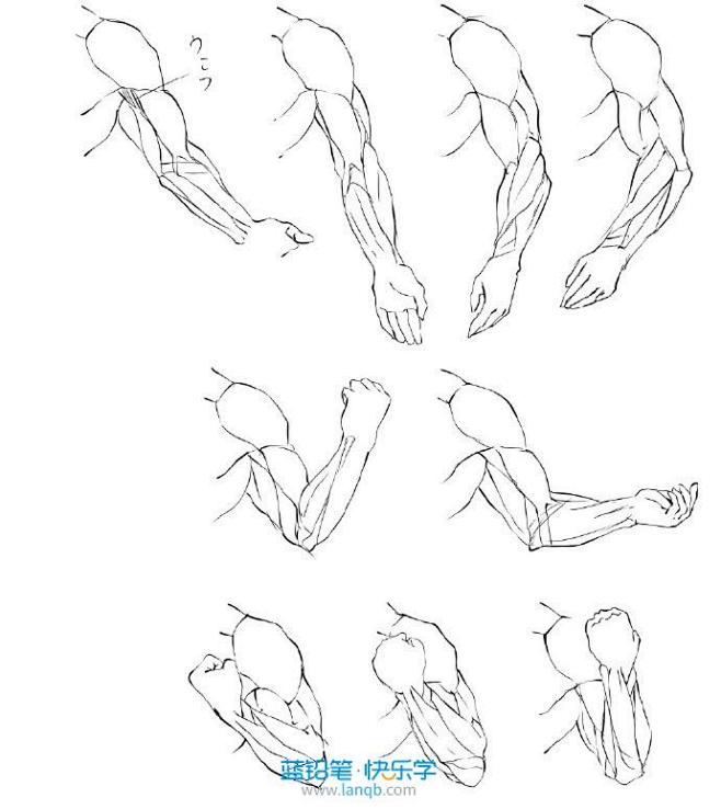 动漫绘画学习：人体躯干（胸部，臀部）、四...