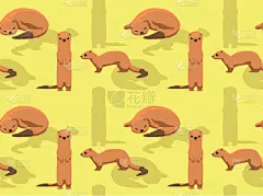 小的,动物,矢量,猫鼬,印度次大陆人,壁纸,可爱的,亚洲,野生动物,图像