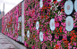 室外植物墙图片http://tuji.guoyeah.com/152
