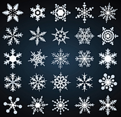 雪~洛采集到雪花