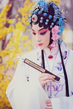 HEDao3QX采集到花旦