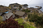 A Visit to Aoshima, a Japanese 'Cat Island' : Aoshima Island is one of about a dozen "cat islands" around Japan, small places where there are significantly more feline residents than people. In Aoshima more than a hundred cats prowl the island,