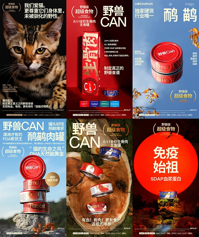 尾巴生活®生骨肉野兽Can ｜ 宠物 猫 罐头 包装 品牌平面包装DXD工作室 - 原创作品 - -花瓣网