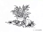 园林景观手绘｜植物线稿50张 : 微信公众号：木子小鱼手绘 这是园林景观手绘第三篇。 整理了植物线稿50张。依次是地被植物，盆栽植物，乔木，灌木，针叶类，棕榈类植物和小景。 1。地被植物，长草的线稿。 2。盆栽植物线稿。 3。乔木的线稿。 4...