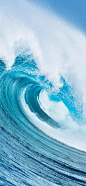 《海》