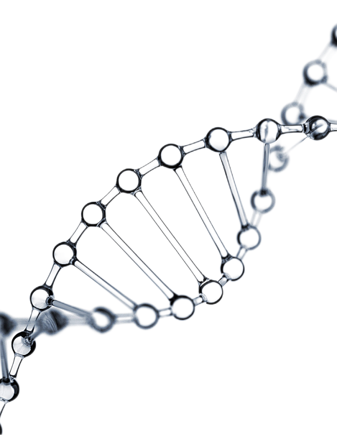 dna png (3)