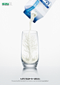 Hedra carton packaging: Milk tree | Ads of the World™ : Let's toast to nature. For every tree that's processed in our cartons, we plant a new one. www.hedra.nl Advertising Agency: Doom&Dickson Amsterd