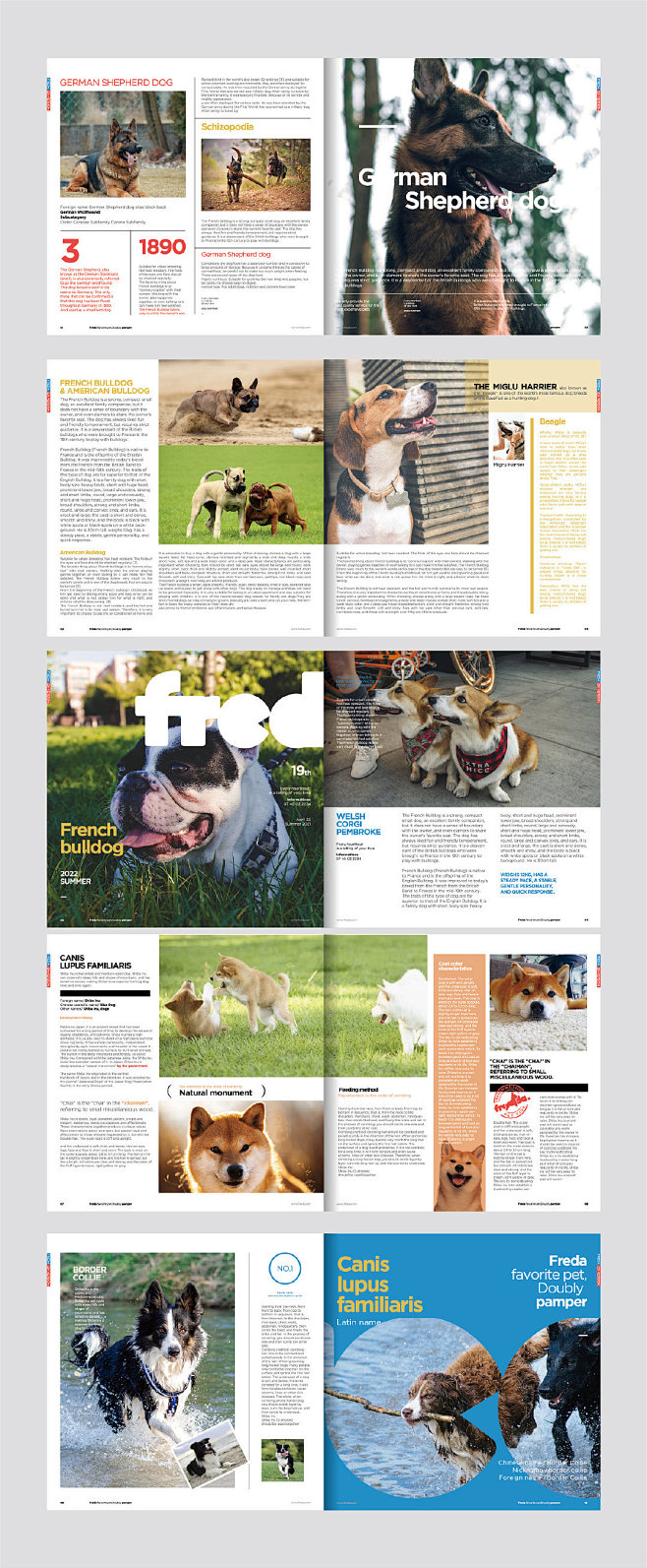 LOGO VI系统 | 宠物杂志 品牌l...