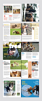LOGO VI系统 | 宠物杂志 品牌logo及VI形象设计