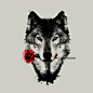 狼与玫瑰艺术T恤设计 | 「T恤啦」- Txu.La