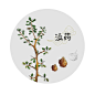 没药