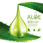 芦荟保湿精华化妆品Ai矢量广告海报Aloe Moisture Essence#020502 :  