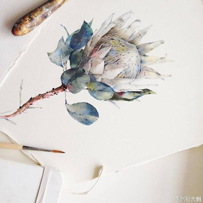 水彩花卉 蓝色 灰白 