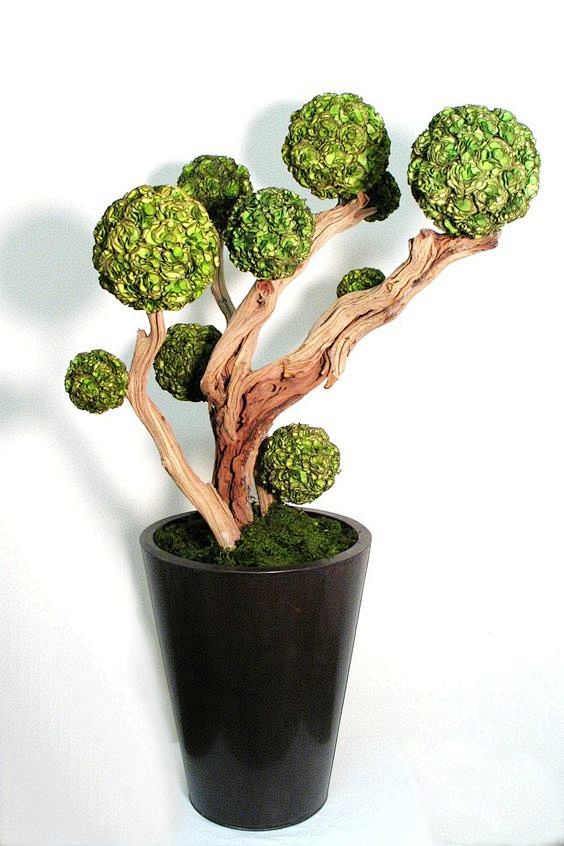 Sculpted Ghostwood w...