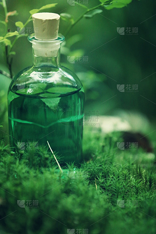 草药自然提取。一瓶绿色的酊剂，在一个模糊的森林背景上的苔藓。草药天然酊剂。魔法药水。顺势疗法和替代医