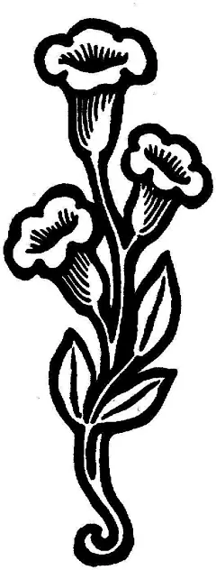 花卉印花图案t恤印花|插画|打印|黑白|简约造型|手绘|图案设计|印花图案|手绘汽车手绘|手绘POP手绘pop字体|手绘拉面手绘人物|手绘海报手绘