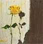 油画棒| 一枝 | 黄玫瑰 : “我给你早在你出生前多年的一个傍晚看到的一朵黄玫瑰的记忆。” 写生于网图壁纸