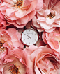 Anna Remarchuk (@annaremarchuk)'s Instagram Profile on Tofo.me: Instagram Online Viewer