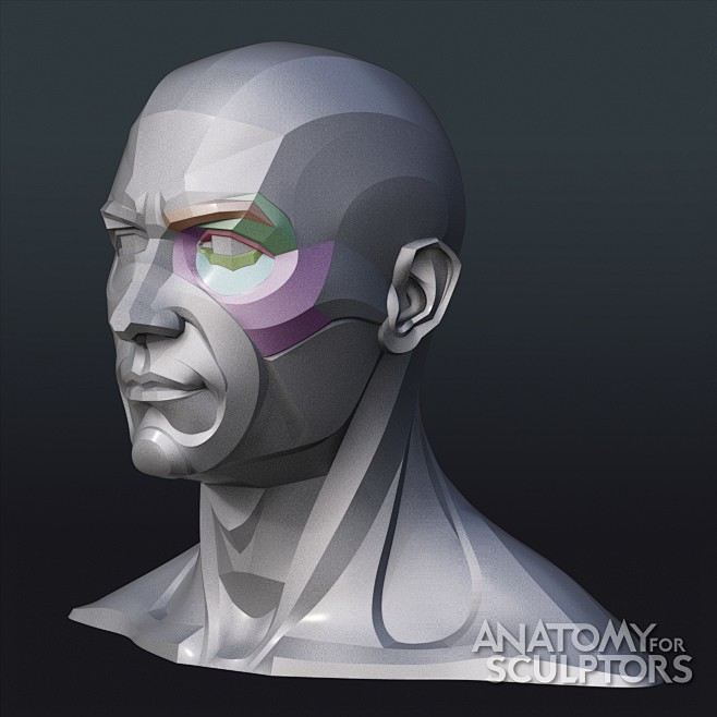 anatomy-for-sculptor...