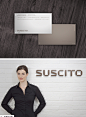 Suscito Corporate and Brand Identity on Behance