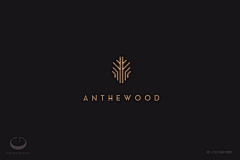 爱吃素的狼羔羔采集到LOGO设计