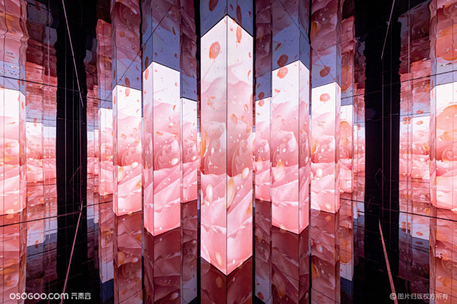 一瞬一生·兰蔻菁纯艺术展