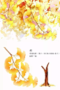 【绘画教程】如何画出金黄的银杏叶子？（附应用实例）