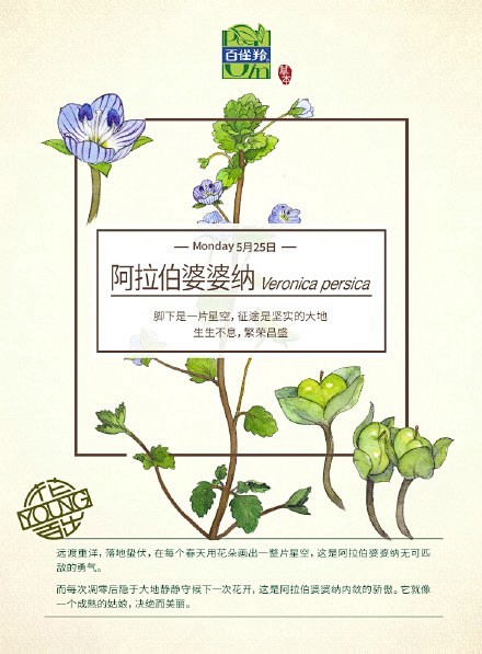 我本科曾在农场实习，到处是蚊子。当时试了...