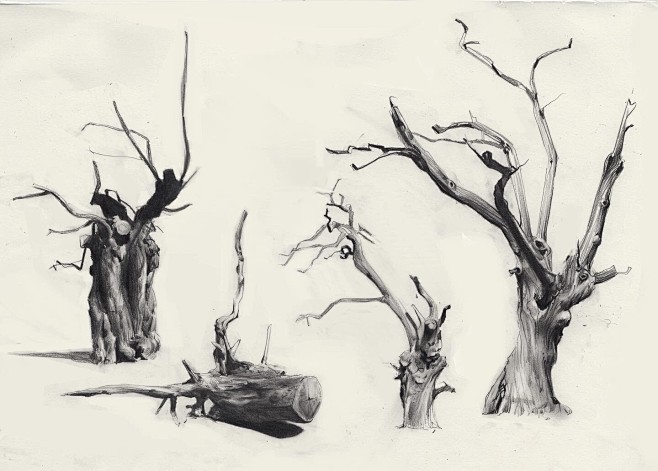 Tree sketches