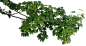 f7ecf950cd57671c102a9904014b19016859d8711b69a9-uU3eAV