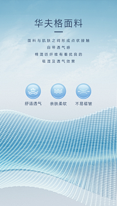 ZPT6YdwO采集到隐形车衣