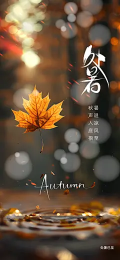 处暑节气传统海报