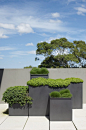 | LANDSCAPING |Outdoor Terraces in Glebe, Australia by Secret Gardens. Carefully planned groupings make all the difference.
