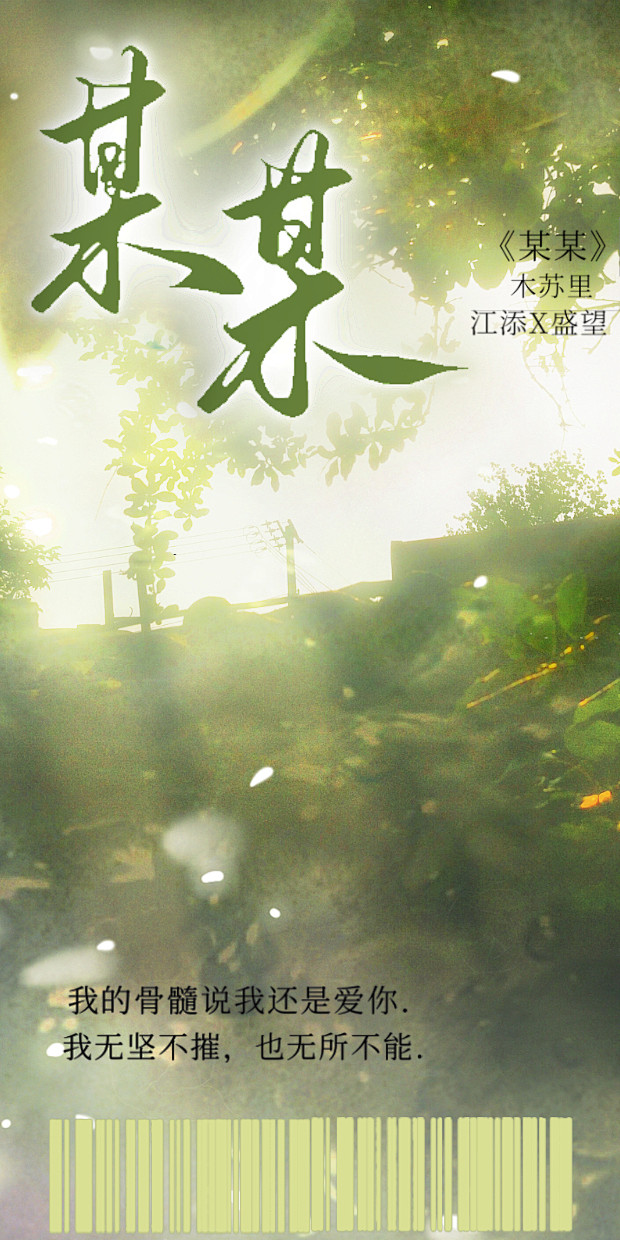 《某某》封口贴 作者：木苏里 江添X盛望 “我无坚不摧，也无所不能” “我的骨髓说我还是爱你”