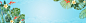 手绘植物,蓝色,夏天,清新,护肤品,,清爽,,图库,png图片,网,图片素材,背景素材,4385050@北坤人素材