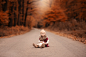 【美图分享】Dan Venter的作品《Autumn baby》 #500px#