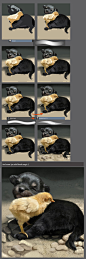 Step by step of 'Study: the sleeping kids' by XGingerWR