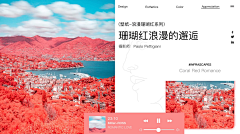 羽墨啊采集到P-配色