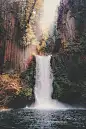 (12) Tumblr