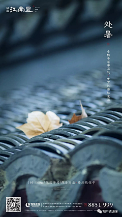 百米小胖墩采集到节气