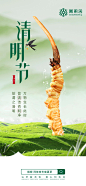 阿依舍品牌/冬虫夏草/节气海报/品宣海报/开机屏/清明节海报