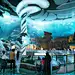 Sea-World-Abu-Dhabi-OO-Hub